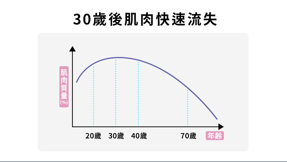 增肌減脂 晶鑽診所
肌肉流失的速度