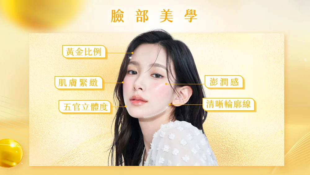 晶鑽診所 妮芙蕾 臉部美學定義
