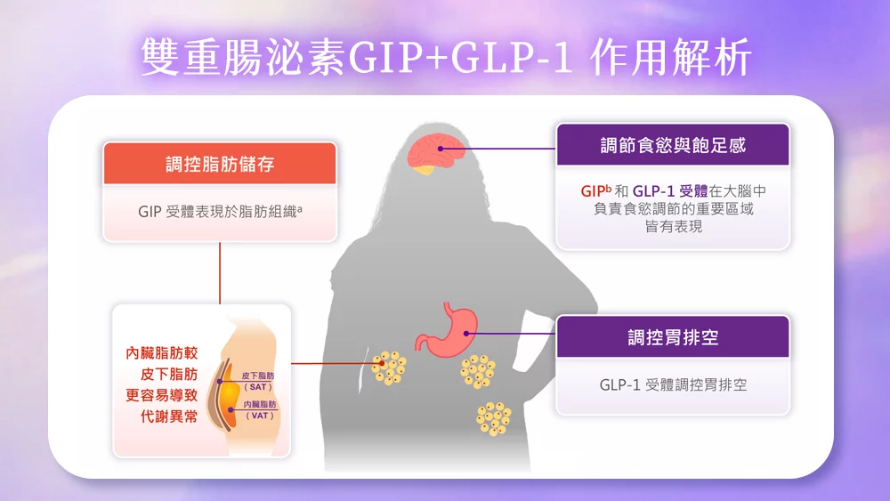 03 晶鑽診所 猛健樂 0